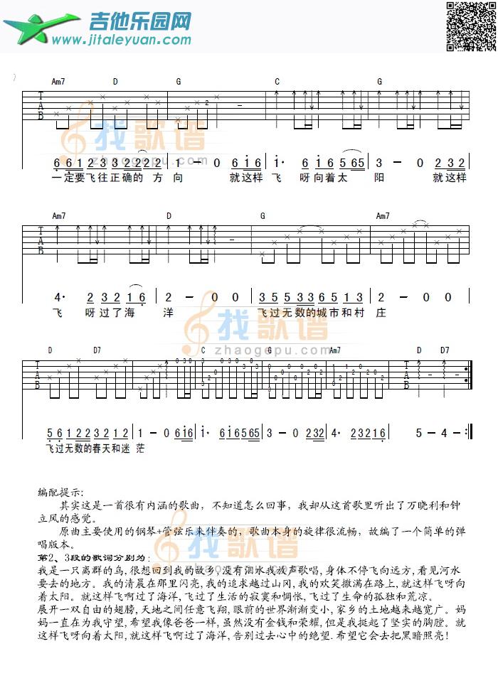 我是一只离群的鸟_洪启　_第2张吉他谱