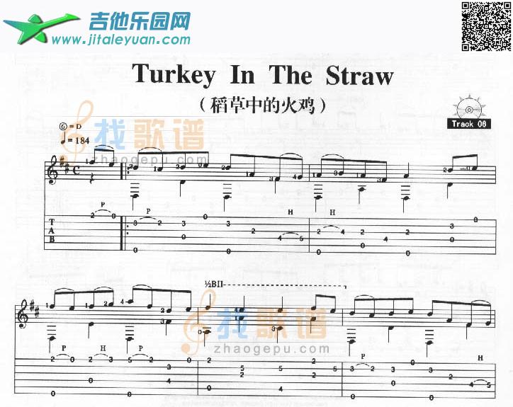 TurkeyInTheStraw－稻草中的火鸡_吉它演奏曲谱　_第1张吉他谱