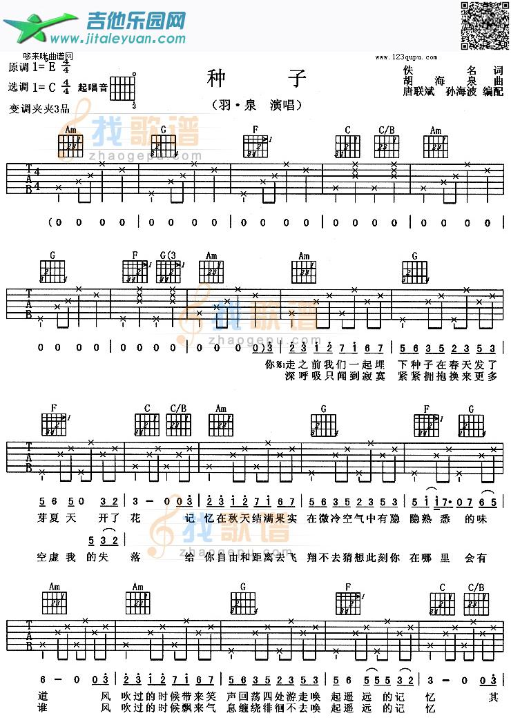 种子(羽泉)_第1张吉他谱