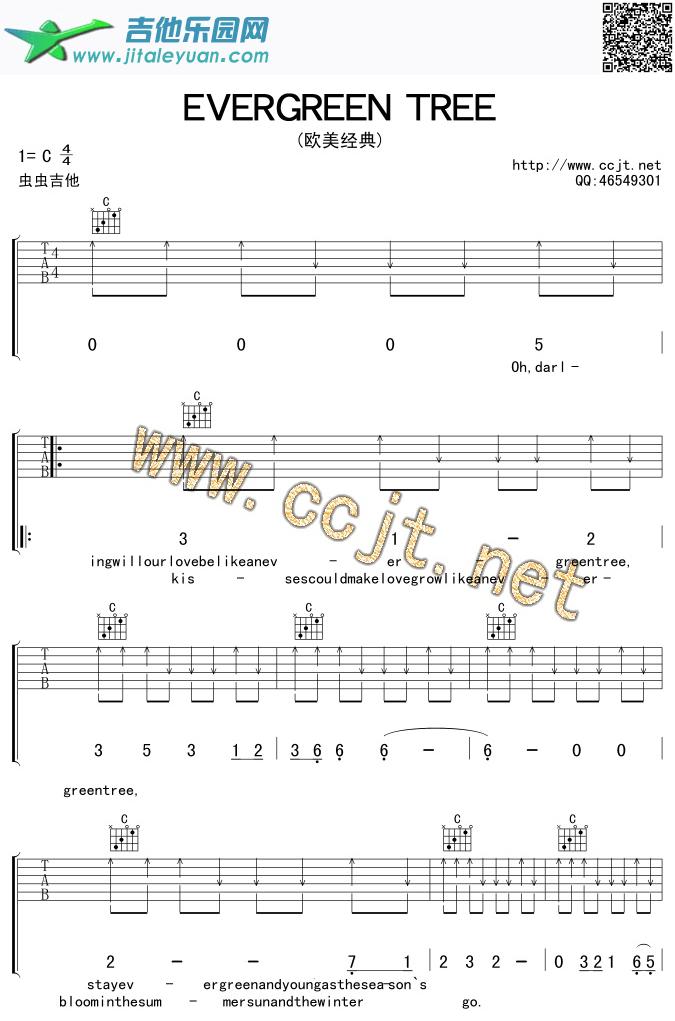 吉他谱：evergreentree吉他谱(六线谱)-第1页