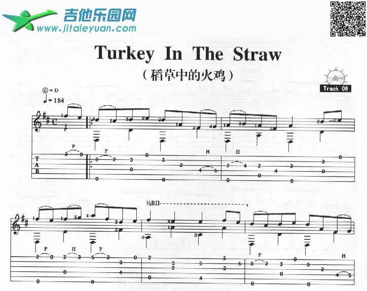 TurkeyInTheStraw－稻草中的火鸡_吉它演奏曲谱　_第1张吉他谱